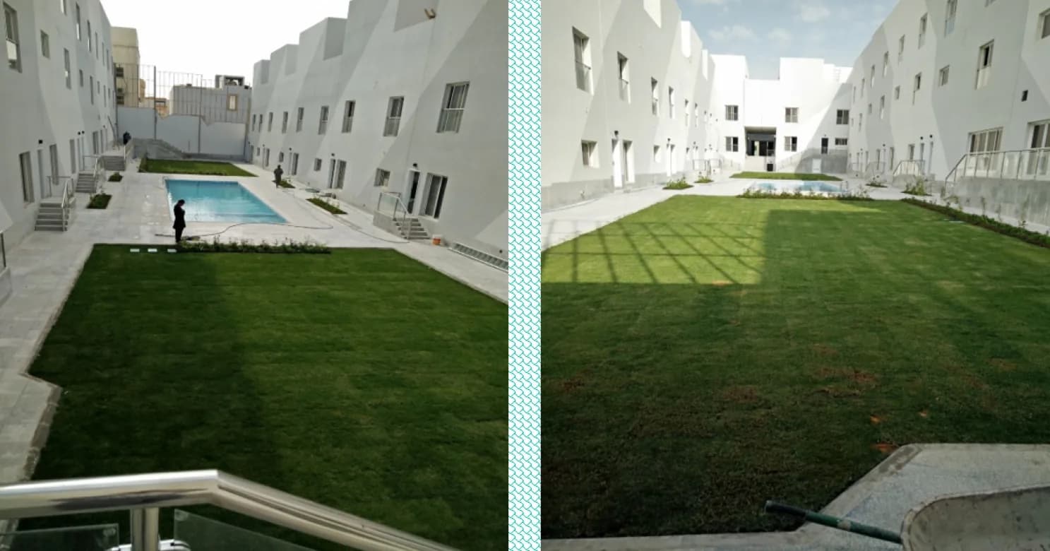 Two views of a courtyard between white townhouse blocks, with newly laid lawn, paved paths and a swimming pool.