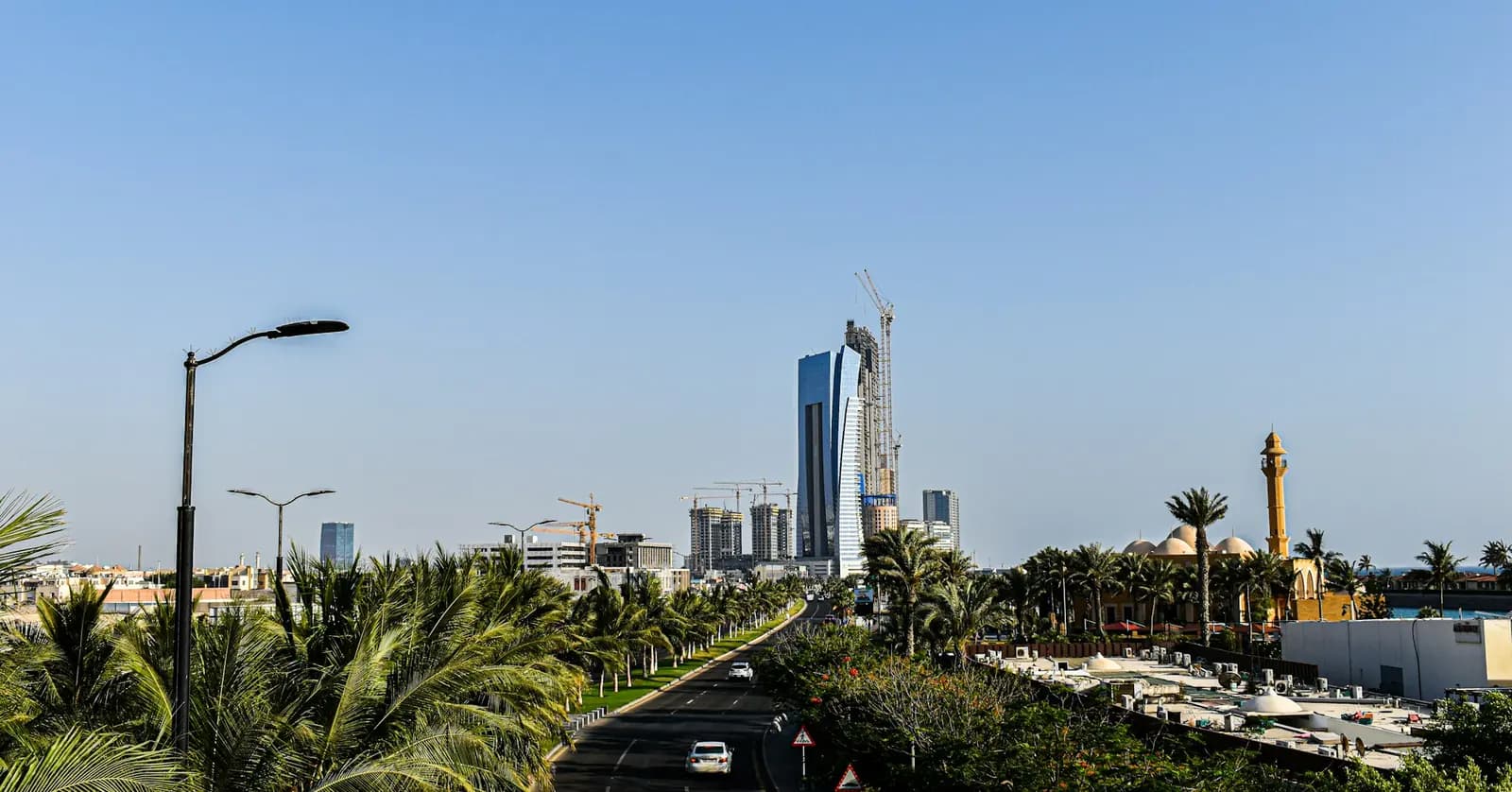 City skyline seen along a palm-lined road, with a tall glass tower, construction cranes and a minaret